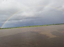 K Wings Malecón Exterior