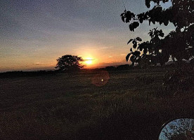 K Wings Malecón Bebida