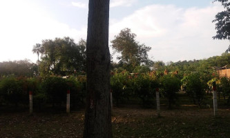 Livanesssa Campestre Extérieur