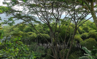 Asados Hb Extérieur