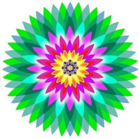 Tropical Biohostel Logo