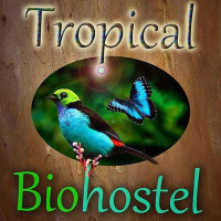 Tropical Biohostel Boisson