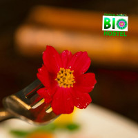 Tropical Biohostel Boisson