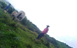 La Fonda De Lazaro Exterior