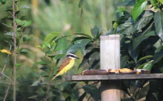 La Fonda De Lazaro Boisson