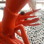 Los Almendros Bebida