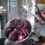 El Rincón Sinaloense Bebida