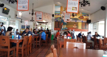 Los Milagros De Dalila À l'intérieur