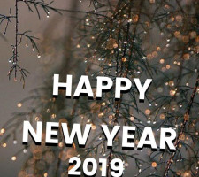 Tacos De Trompo Don Luis Garza Logo