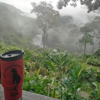 Catorce Gatos Cafe Außen