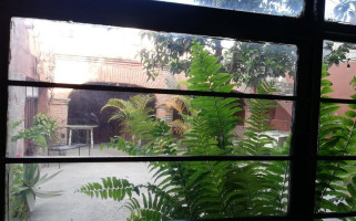 Santo Tomate Extérieur