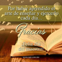 Artemio's Pizzas Bebida