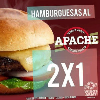 Wings Army Tuxtepec Logo