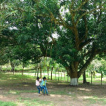 Quinta La Victora Exterior