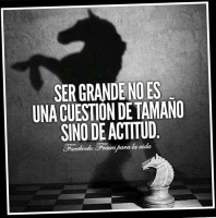 Tortas Los Panzones Boisson