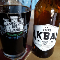 The Beer Company Tenango Del Aire drink