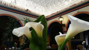 El Patio Tlaxiaco Boisson