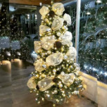 Café Andrade Tuxpan outside