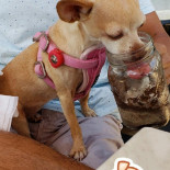 Café Andrade Tuxpan drink