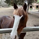 Las Caballerizas Extérieur
