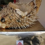 Restaurant la Noria Boisson