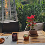 Mesa De Origen outside