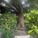 Mesa De Origen outside