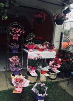 Café Mo-kali Exterior