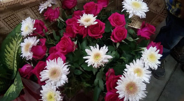 Yolotzin Pizza Bebida