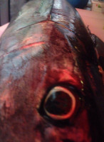 Derek's Sushi Bebida