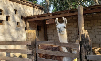 Ricavilla Campestre Extérieur