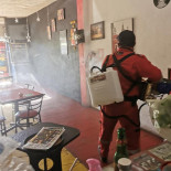 Mamamia Pizza Ensenada Dentro