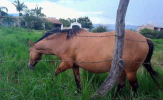 Tacos Checos Extérieur