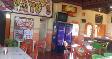 Taqueria Yayo's