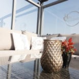 Mi Capricho Zapata Boisson