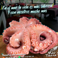 Mar y Tierra Comida