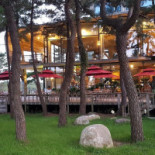 Absenta Pub Caucel Extérieur