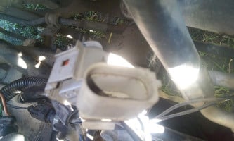 Panuchos De Pavo El Viejito Boisson