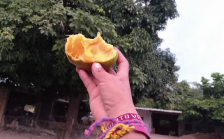 Artemio's Pizzas Exterior