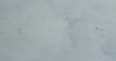 Delidalia Bakery Boisson