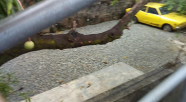 Delidalia Bakery Boisson