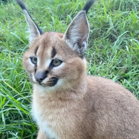 Claroscuro Gastropub Exterior