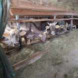 Maria’s Roots Exterior