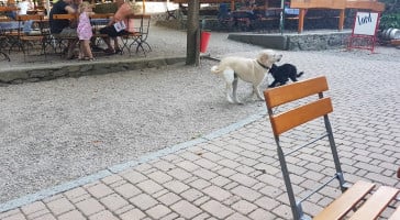 Birriería El Cuñado Exterior