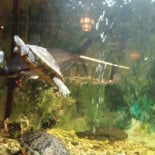 La Quinta Autlan Extérieur