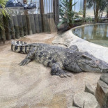 Tacos El Mañanero Exterior