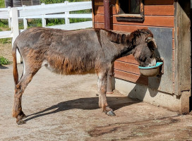 Menuderia Doña Yola Extérieur