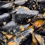 Finca Santa Veracruz drink