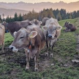 Carnes Ahumadas Sierra Norte Exterior