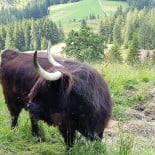 Tacos La Güera Exterior